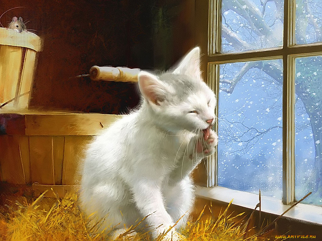 Стихотворение мама глянька. Кошки на окошке. Котенок у окна. Кошка на окне. Кот на окне умывается.